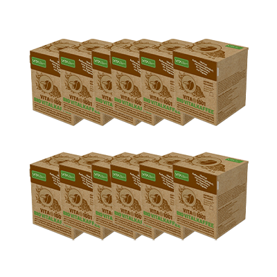 VITA1001-EK-10 - Bio Vitalkaffee (PREMIUM REISHI-Kaffee) | 100% feinster biologischer Hochland Arabica Kaffee mit einer Beimengung von 2 Vitalpilzen | Bio Röstkaffee gemahlen | Mischung | in einer 100% kompostierbaren Holzfaser Espresso-Kapsel (Nespresso kompatibel) | 10er ÖKO-Pack - Verpackungs-Vorderseite | 12er+1gratis-pack